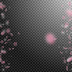 Sakura petals falling down. Romantic pink flowers borders. Flying petals on transparent square backg