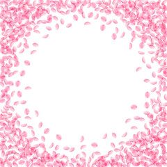 Fototapeta na wymiar Sakura petals falling down. Romantic pink silky small flowers. Thick flying cherry petals. Circle fr