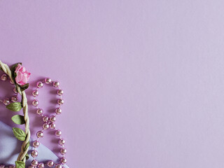 flowers on a white background