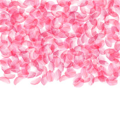 Sakura petals falling down. Romantic pink silky big flowers. Thick flying cherry petals. Top gradien