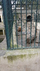 The Hamma Zoological Park is one of the oldest zoos in Africa, housing various animals including predators and carnivores. Zoo de Ben Aknoun, located on the outskirts of Algiers