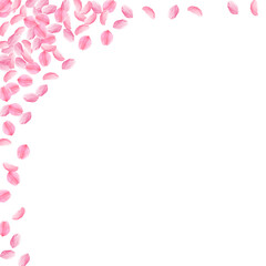 Sakura petals falling down. Romantic pink bright medium flowers. Thick flying cherry petals. Square