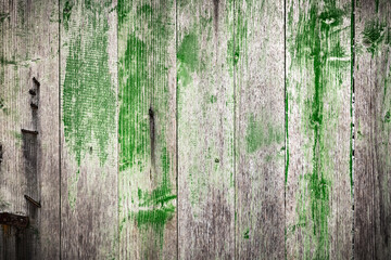 Fototapeta na wymiar Green and grey wooden grunge board closeup. Natural texture. Can be used like nature background