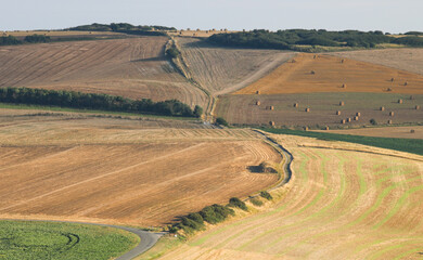 Obraz premium paysages de champs cultivés pendant la période des moissons en été