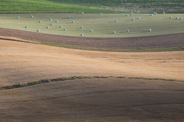 Obraz premium paysages de champs cultivés pendant la période des moissons en été
