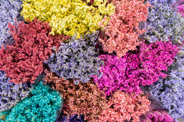 Fototapeta na wymiar des fleurs colorées à la Plaza de Mercado de Paloquemao, Bogota, Colombie
