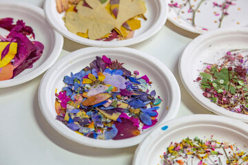 Dry herbs and flower petals for design, decor and creativity