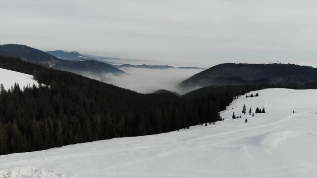 Aerial view of a sea of clouds over the mountains valley in the Carpathians covered with pine trees