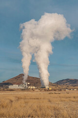 Steam from a power plant and cattle as seen from the Klamath Wildlife Area in Southern Oregon.
