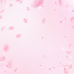 Sakura petals falling down. Romantic pink flowers vignette. Flying petals on pink square background.