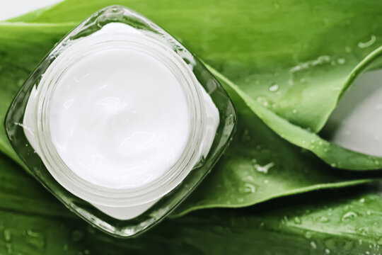 Natural moisturising cream jar on green leaves as beauty flatlay, spa cosmetics and skincare