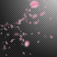 Sakura petals falling down. Romantic pink flowers corner. Flying petals on transparent square backgr