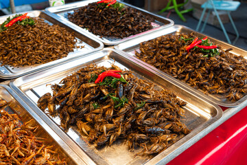 Asian food market. A counter with fried insects