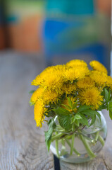 Bouquet of dandelions over blurred background