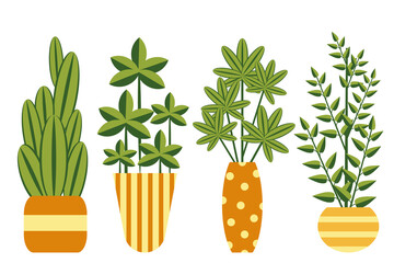 set of stylized, flat indoor plants in vases, flowerpots, decorative leaves, vector graphics