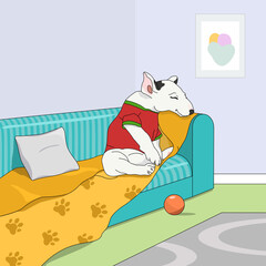 White bull terrier puppy sitting on the couch, ball toy on the floor with carpet. Picture on a wall, bedcover and pillow on the sofa.