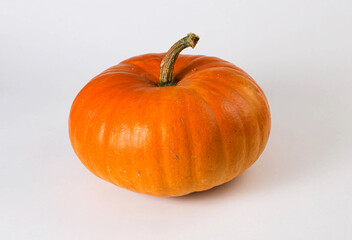 Big pumpkin on white background. Fresh and orange.