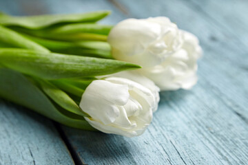Fototapeta premium White flowers on light blue wooden background