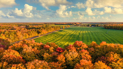 Beautiful late day sun light  on scenic drive in autumn through the central Michigan farm countryside near Cadillac