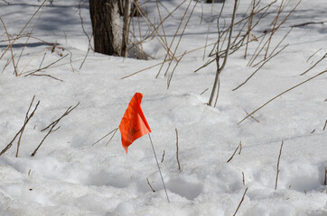 Orange flag marking underground wires in snow