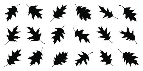 various oak red leaf silhouettes on the white background