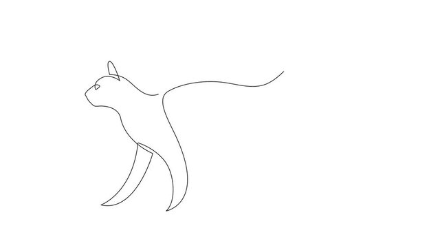 Self drawing simple animation of single continuous one line drawing kitten pet cat animal. Drawing by hand video.