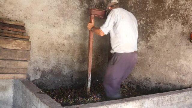 Man crushing grapes at traditional winepress 02