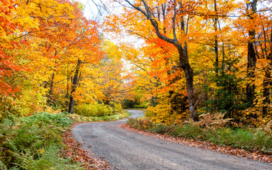 Fall autumn colors