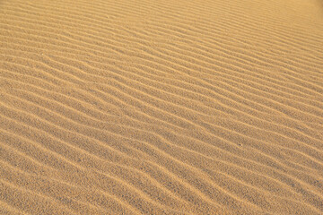 Desert landscapes different parts of the world