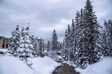 The Canadian winter landscape in Banff National park, Alberta, Canada.