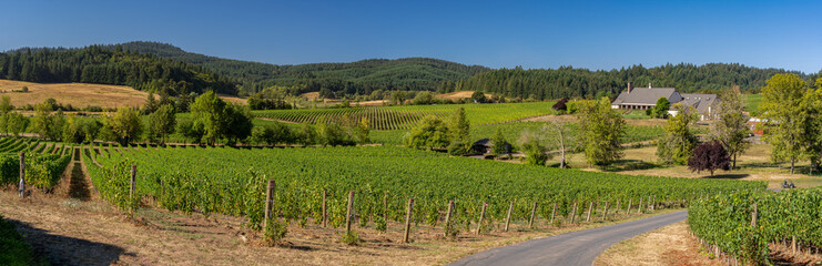 Fototapeta na wymiar A panoramic view of a vineyard and winery in the rolling hells near Salem Oregon
