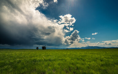 Rain clouds rolling into a grassy meadow. - 416636206