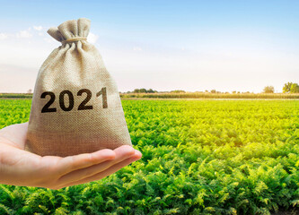 Money bag 2021 in the hands of a farmer and agricultural plantations. Harvesting, profit and budget...