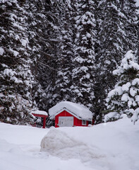 A red house or a cabin covered in snow near lake Louise. The Canadian winter landscape in Banff National park, rocky mountain. 
