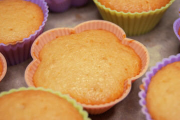 Baked rosy cupcakes, muffins, muffins in colorful silicone molds on a baking sheet. Step-by-step recipe. Cooking homemade cakes. Leisure time with children at home. Close-up.