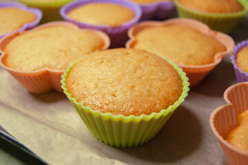 Baked rosy cupcakes, muffins, muffins in colorful silicone molds on a baking sheet. Step-by-step recipe. Cooking homemade cakes. Leisure time with children at home. Close-up.