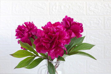 Beautiful lush peony flowers in a vase on light background.
