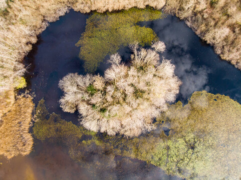Aerial view of lake surrounded by forest in autumn, Vaud, Switzerland.