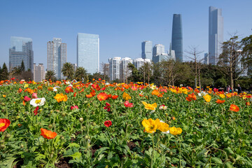 Flower beds in Pearl River new town and park, Guangzhou, China