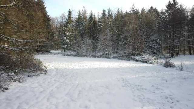 Schnee im Bürgerpark in Bremerhaven, Luftaufnahme mit der Drohne über den Bäumen, Geestemünde im Winter, Winterlandschaft in Deutschland