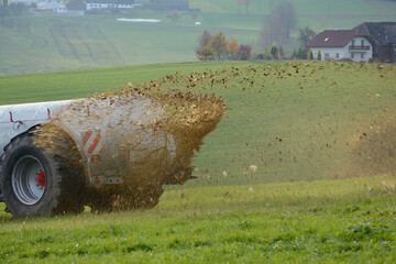 Manure Application On A Meadow