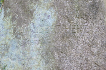 Vergilbter und verblasster historischer Grabstein von Dr. Albert Herz 1872 - 1920. Felsbrocken Grabstein auf dem K&ouml;lner S&uuml;dfriedhof. Sehr alter verrotteter und vergilbter ancient Grabstein mit Gravur