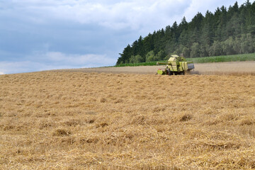 Smaller Combine In A Large Cornfield At Harvest