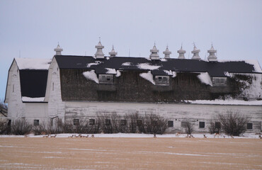 Fototapeta premium Prairie Winter Scene