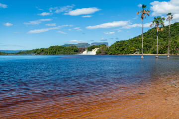 View of  the lagoon in Canaima  National Park (Bolivar, Venezuela).