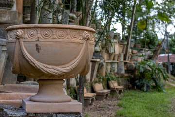 garden in the garden