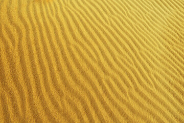 Fototapeta na wymiar sand texture on a desert dune with patterns in the form of waves created by the wind