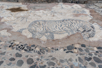 Zebra mosaic in the Byzantine Agora area of Beit She`an National Park in Israel