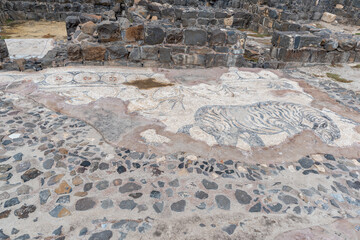 Zebra mosaic in the Byzantine Agora area of Beit She`an National Park in Israel