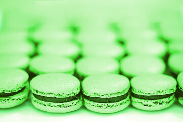 Colorful homemade macaron cookies filled with ganache cream